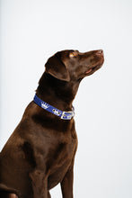 Load image into Gallery viewer, Dog Collar